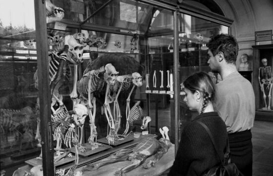 Musée histoire naturelle Paris 1994 © Stéfane France